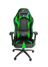 Cargar imagen en el visor de la galería, DRAGSTER GT500 ELECTRIC GREEN