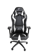 Cargar imagen en el visor de la galería, DRAGSTER GT500 SNOW WHITE